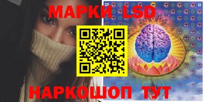 тгк Кингисепп