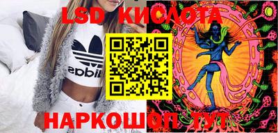 тгк Кингисепп