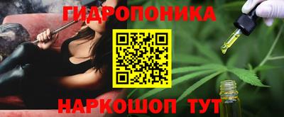 стафф Кинель