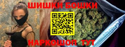 тгк Кингисепп