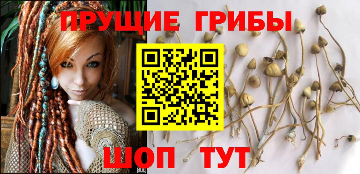 Псилоцибиновые грибы мицелий Шарыпово